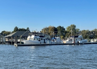 Image of boats at a dock with buildings and woods in the background